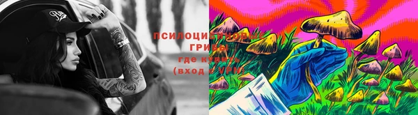 мяу мяу мука Алексин