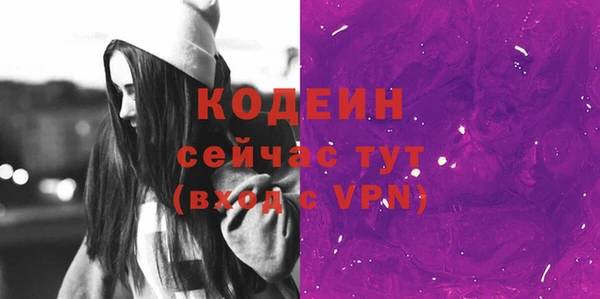 молекула духа Нягань