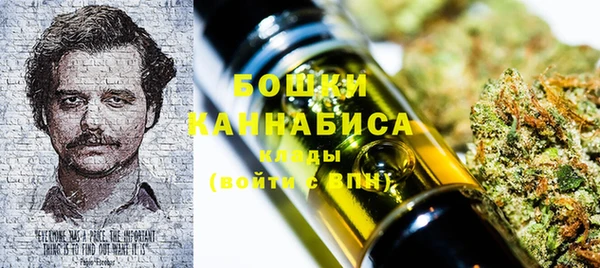 PSILOCYBIN Алзамай