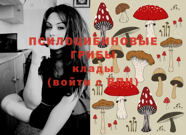 мяу мяу мука Алексин