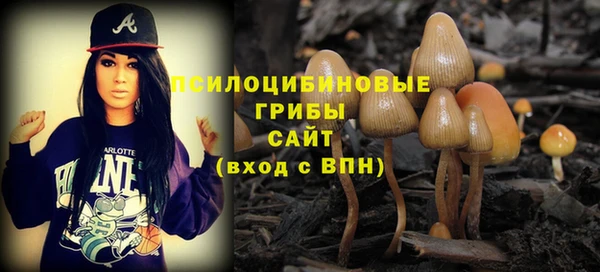 мяу мяу мука Алексин